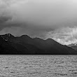 Kenai Fjords 06/15/15