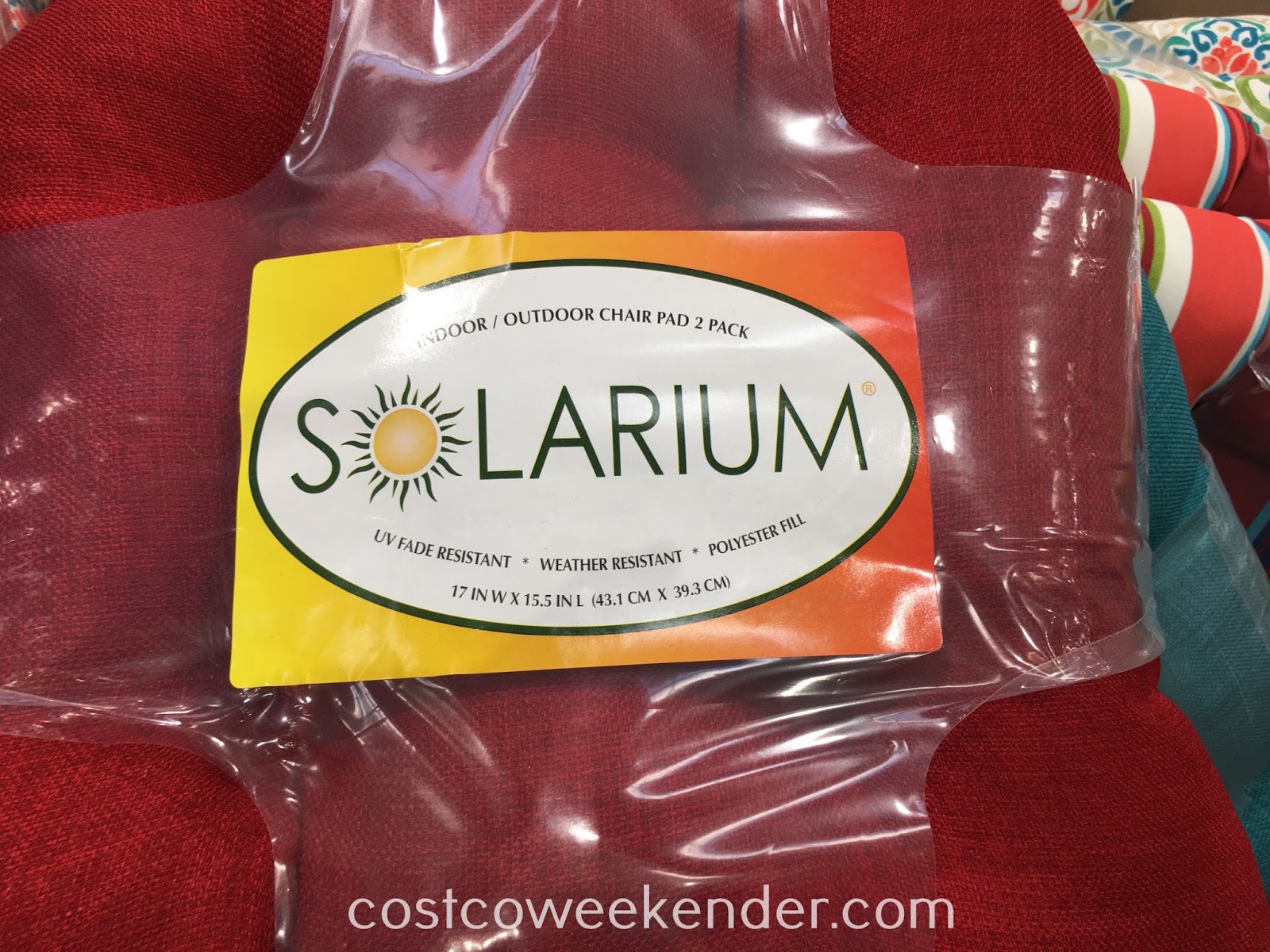 Solarium Indoor/Outdoor Chair Pad (2 pack) Costco Weekender