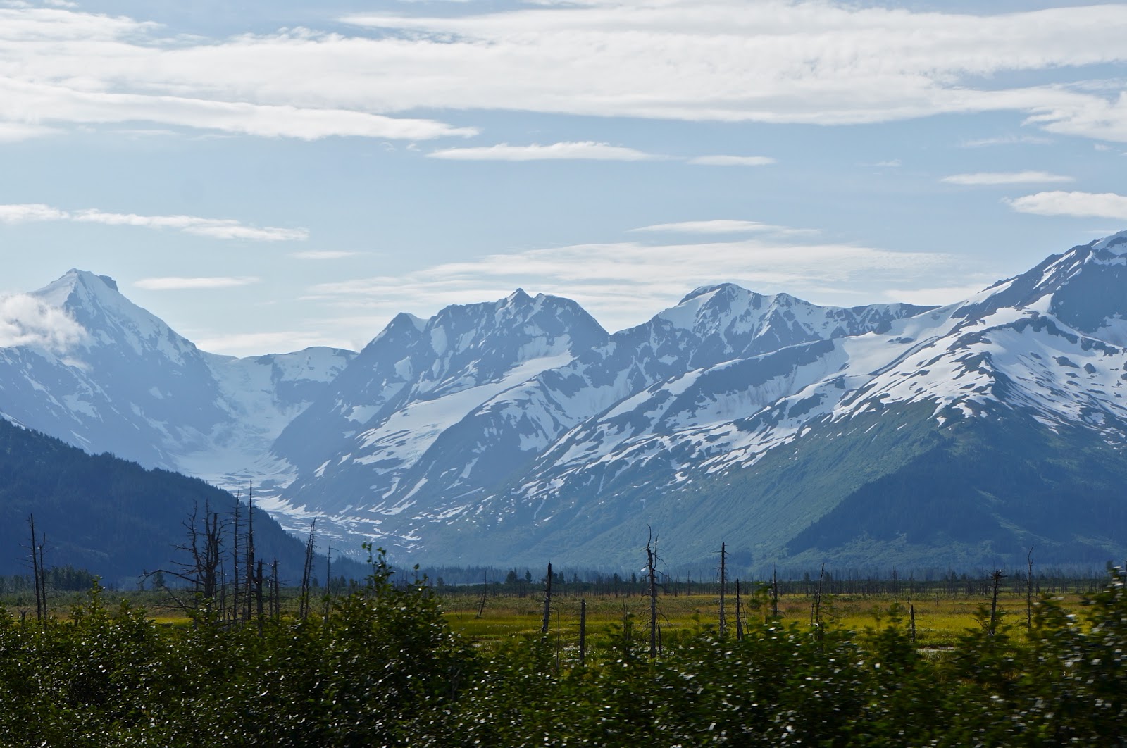 Along for the ride Palmer, Alaska