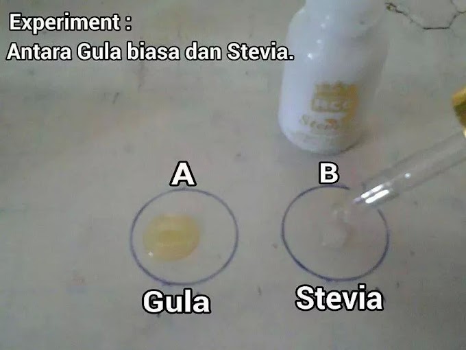 3 Langkah Mudah Ketahui Stevia Anda Asli atau Tidak