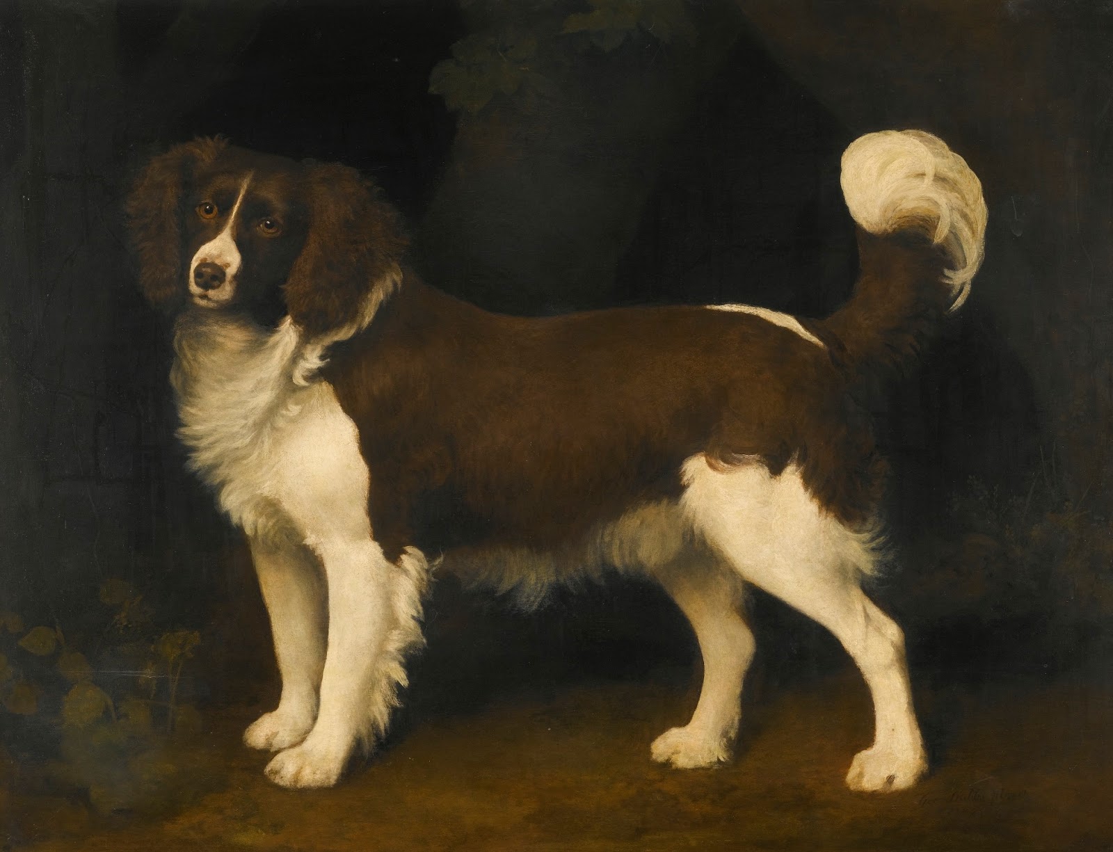 Джордж стаббс картины животные