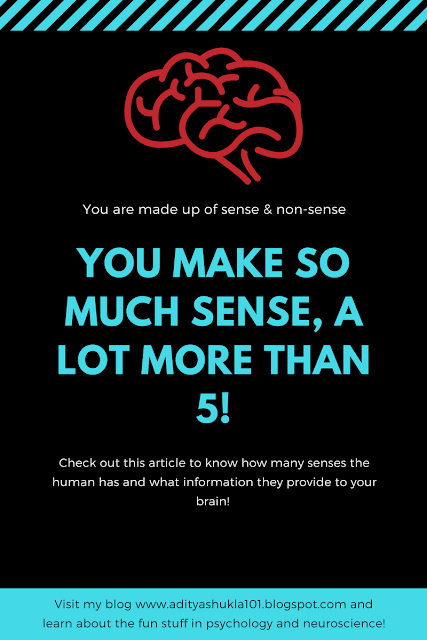 How many senses do we have? Humans have at least 10 senses