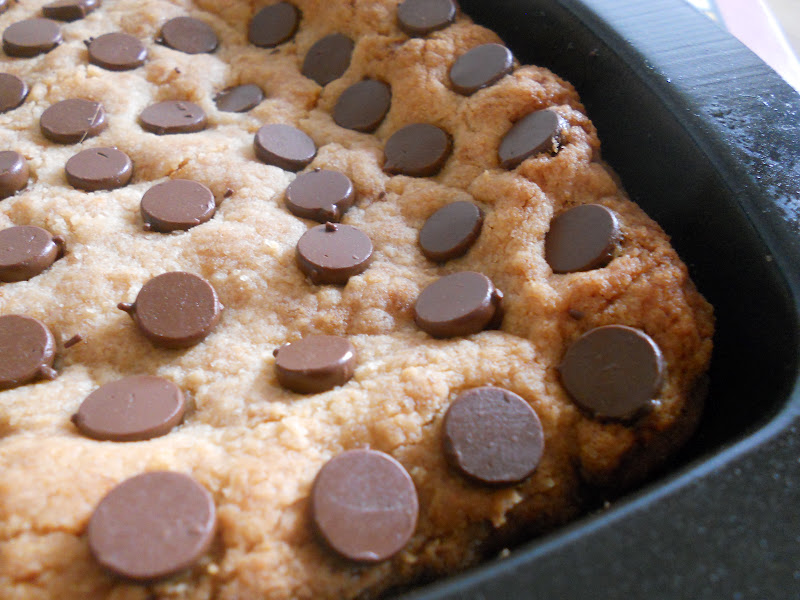 Ally's Sweet & Savory Eats Chocolate Chip Coconut Flour Bars