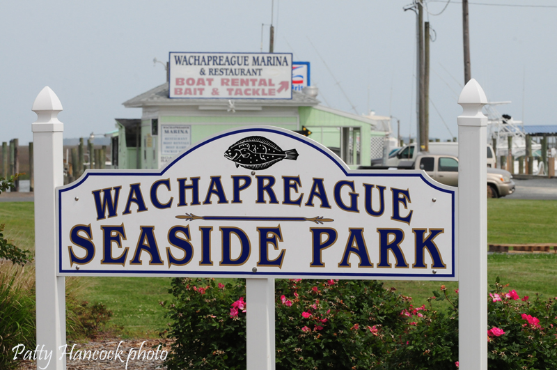 Artists Wachapreague, Virginia Flounder Capital of the World