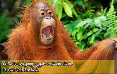 Tebak Tebakan Lucu (Part II), GOKILLL ABISSSS!!! | http://www.materi-pelajaran.xyz Tebak Tebakan Lucu, tebak tebakan lucu banget, tebak tebakan lucu buat pacar, tebak tebakan lucu gokil, tebak tebakan lucu jaman dulu, tebak tebakan lucu dan gokil, tebak tebakan lucu ngakak, tebak tebakan lucu dan romantis, tebak tebakan lucu logika, tebak tebakan lucu ngeres, tebak tebakan lucu untuk anak, tebak tebakan lucu kocak, tebak tebakan lucu dan jawaban, tebak tebakan lucu beserta jawabannya, tebak tebakan lucu dewasa, tebak tebakan lucu singkat, tebak tebakan lucu ala santri, tebak tebakan lucu anak, tebak tebakan lucu abis, tebak tebakan lucu agak ngeres, tebak tebakan lucu ala ovj, tebak tebakan lucu agak jorok, tebak tebakan lucu anak2, tebak tebakan lucu abiss, tebak tebakan lucu anti mainstream, tebak tebakan lucu and gokil, tebak tebakan lucu ala sule, tebak tebakan lucu abiz, tebak tebakan lucu ala deni cagur, tebak tebakan lucu anti galau, tebak tebakan lucu bikin ketawa, tebak tebakan lucu bergambar, tebak tebakan lucu banget 2016, tebak tebakan lucu bikin ngeres, tebak tebakan lucu buat anak anak, tebak tebakan lucu beserta jawabanya, tebak tebakan lucu bikin sakit perut, tebak tebakan lucu binatang, tebak tebakan lucu bareng pacar