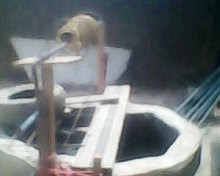 man dies stealing pumping machine man dies stealing pumping machine