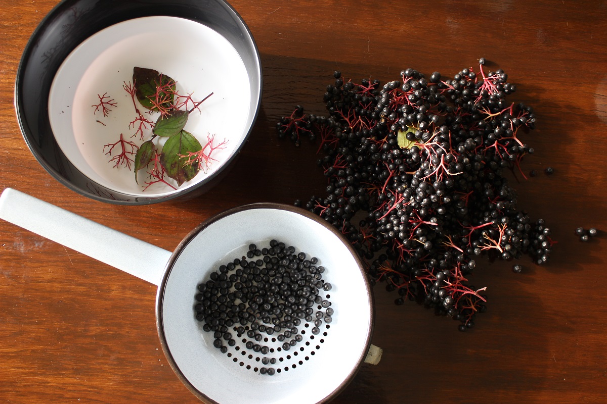 Nyra: Sächsische Fliederbeerensuppe / Holunderbeerensuppe