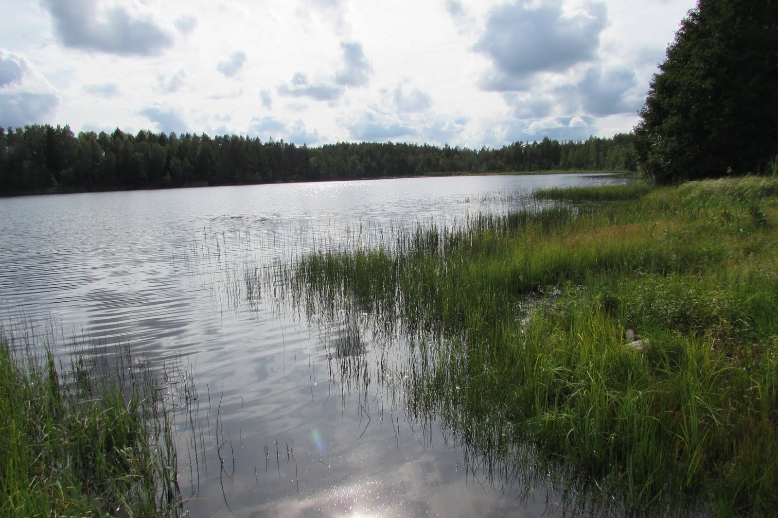 Озеро смолинское палкинский район