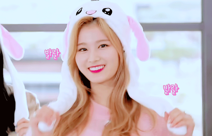 귀염귀염열매 과다복용한 발랄발랄 토끼 사나
