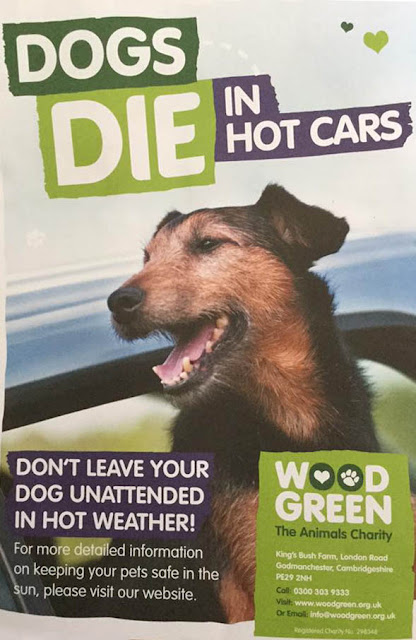 Dogs die in hot cars poster