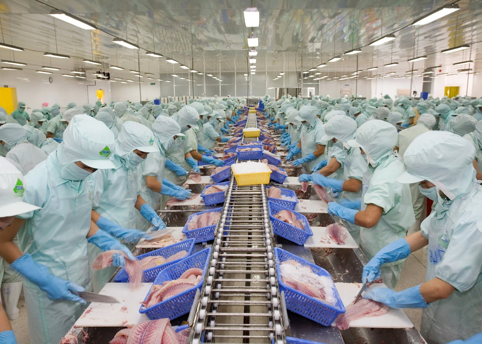 The Jobs Report: List of Alaska Seafood Processing Jobs