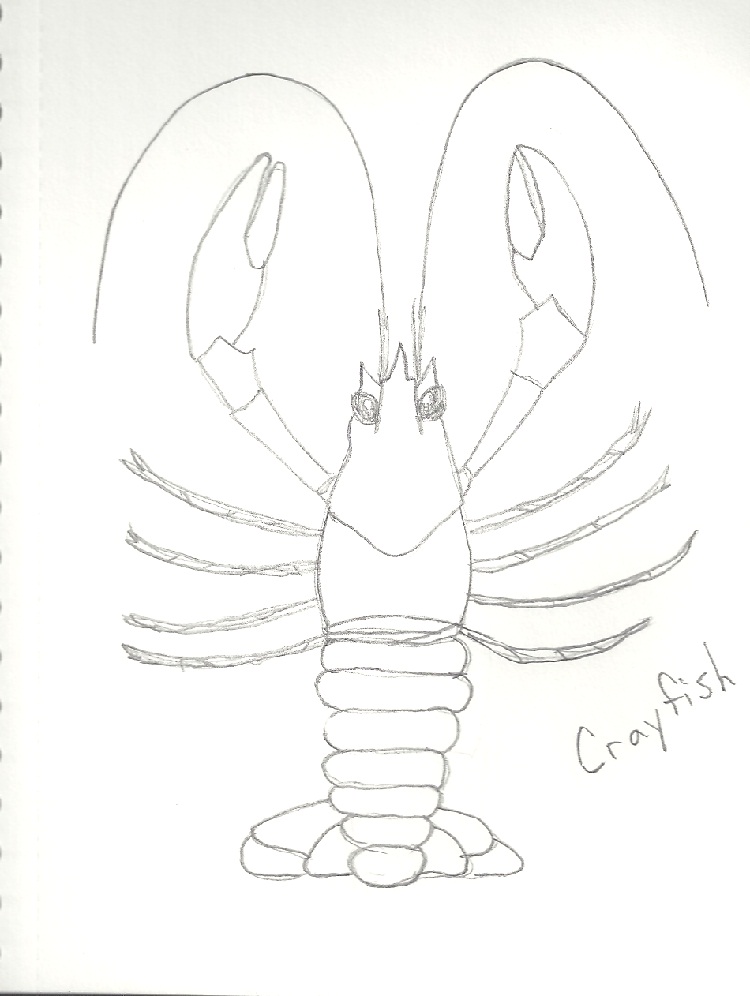 Academia: Crayfish