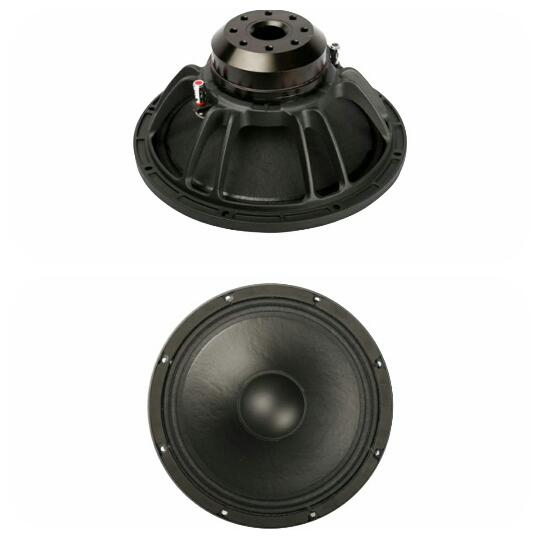 Speaker ACR 12 inch