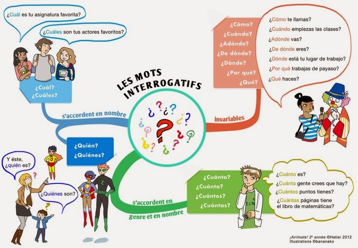 Clases de sol en Bélgica: Palabras interrogativas