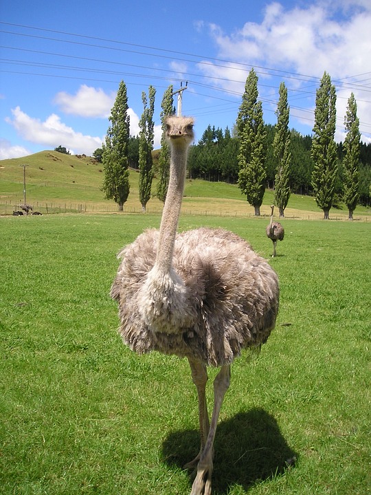 i need new things newzealand travel i need new things newzealand travel