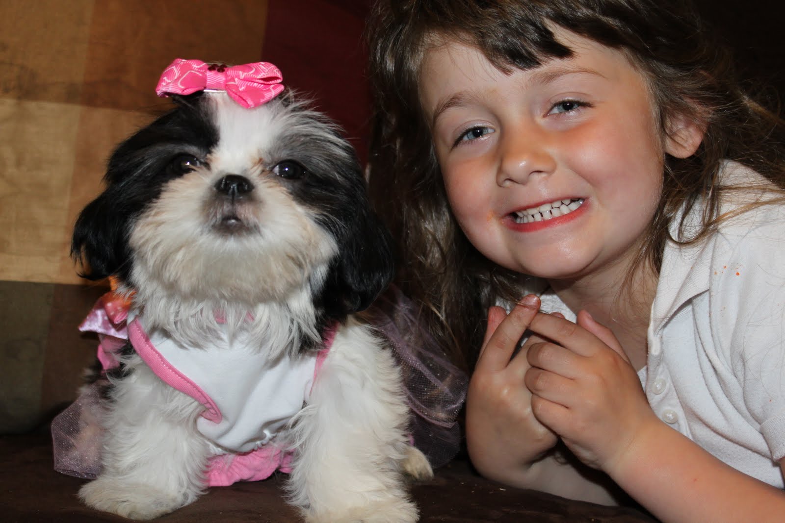 Alabama Toys & Teacups Puppy Testimonial Michele Miller (Cape May, NJ)