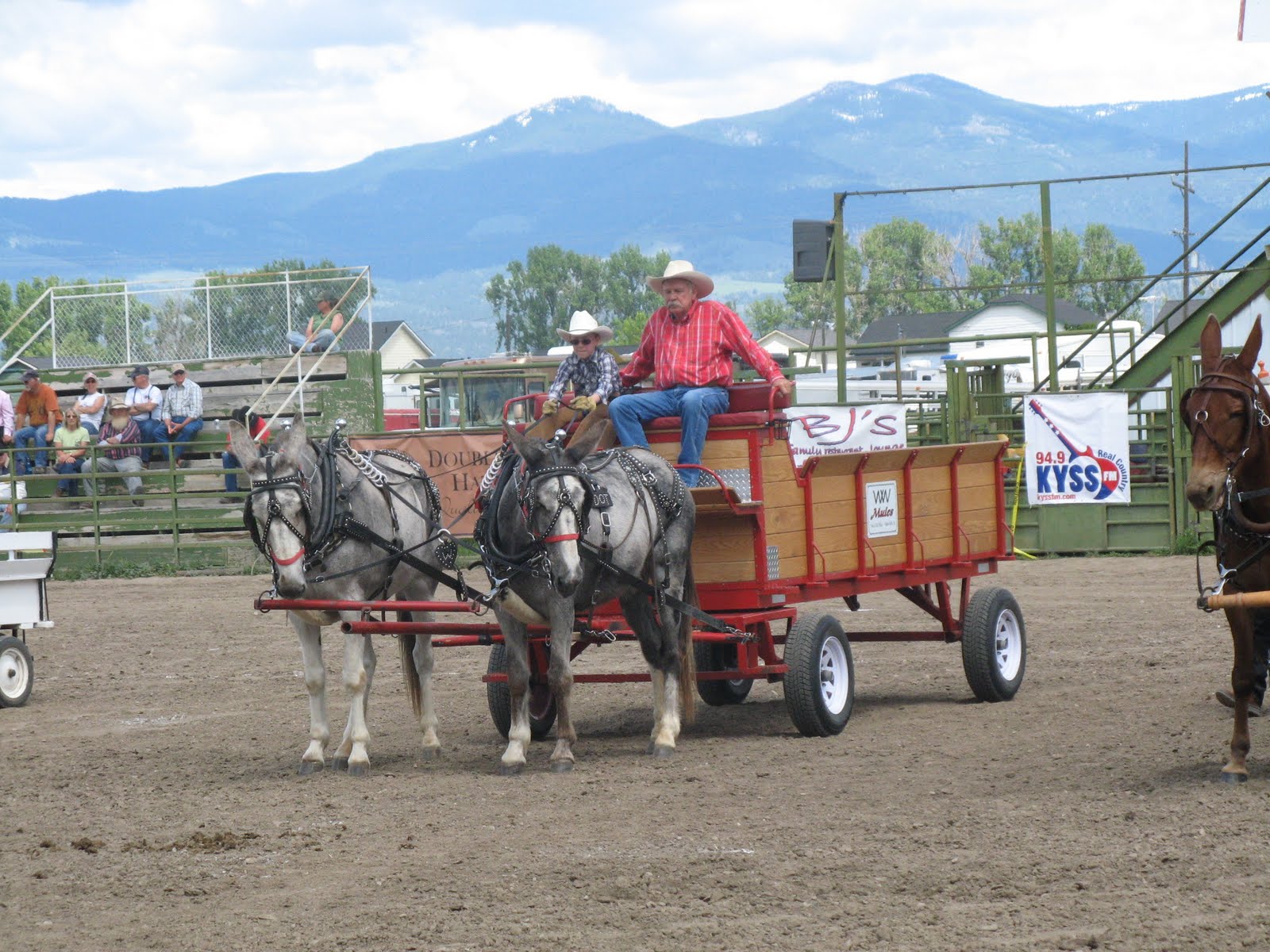 Intermountain Draft Horse and Mule Association Montana mule days