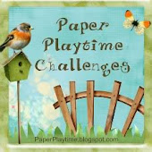Paper PlaytIme Challenges