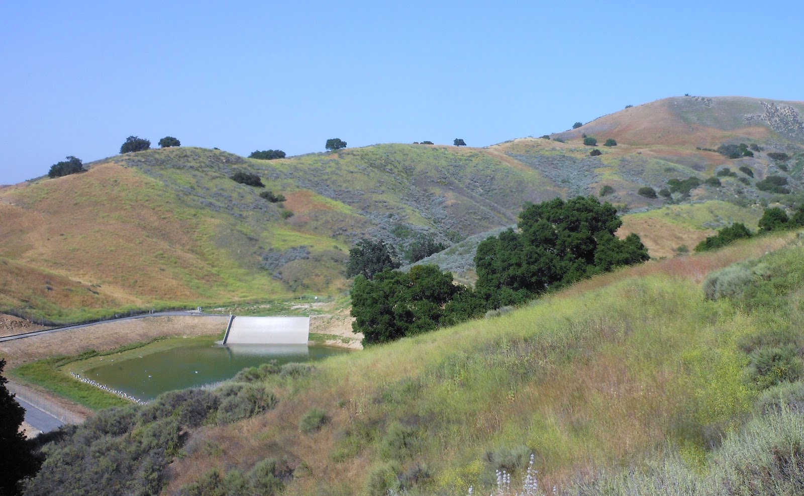 1000 Hikes in 1000 Days Day 556 Bark Park New Millennium Loop Trail