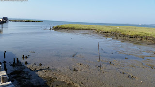 PLACES / Porto Palafita, Carrasqueira, Portugal