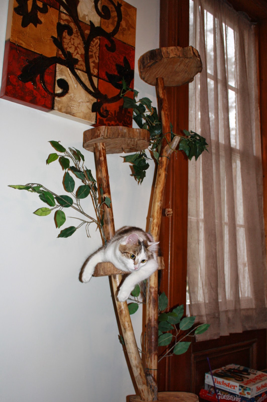 Restoration and Renovation : Natural Wood Cat Tree; Indoor ...
