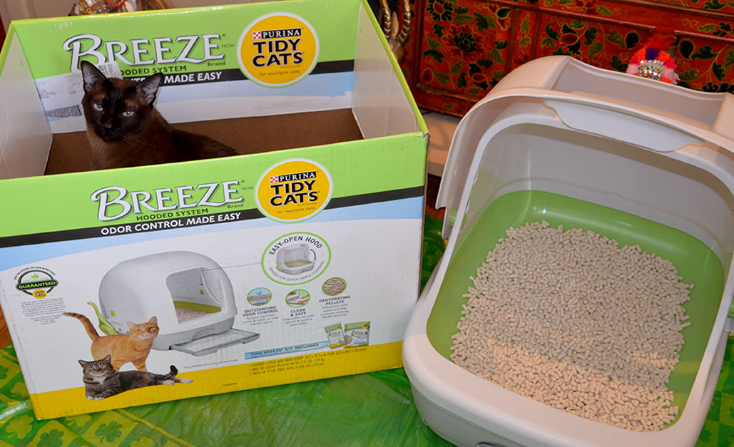 Cats Tales & Reviews Life's A "Breeze" with the New Litter Box