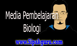 Media Pembelajaran Biologi, Biologi Sebagai Ilmu