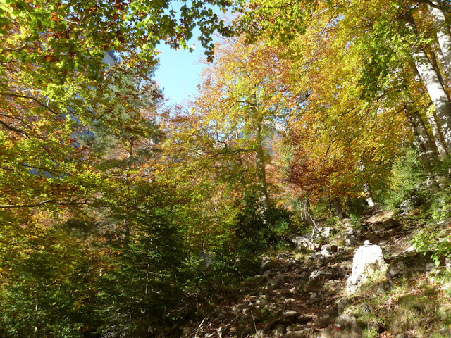 LENITO, 2.324m (La belleza y el silencio del otoño) P1170928%2B%2528FILEminimizer%2529