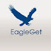 EagleGet 2.0.4.6 Terbaru Gratis