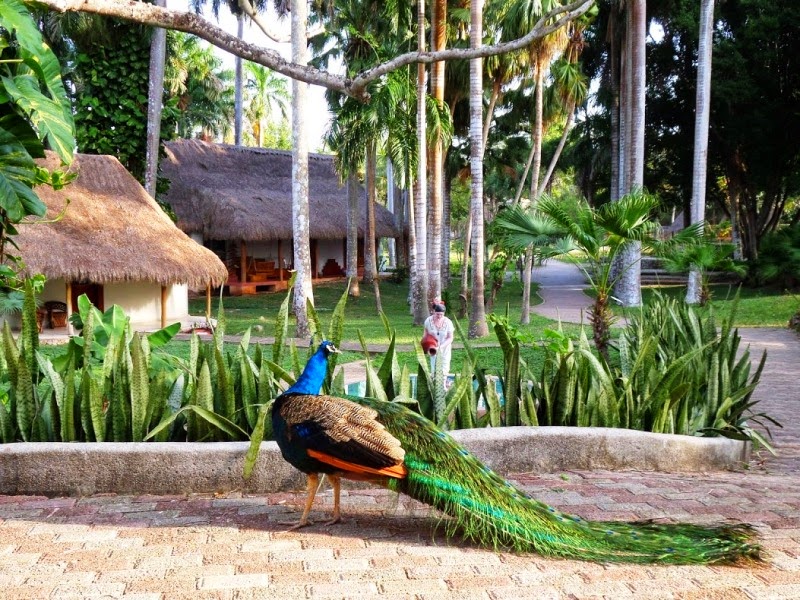 Blog Apaixonados por Viagens - Chichén Itzá por Monica Barros