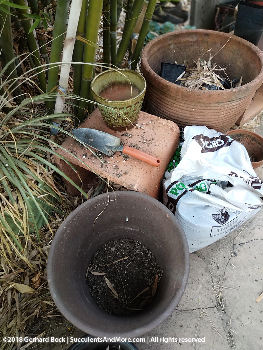 Empty pots make me anxious