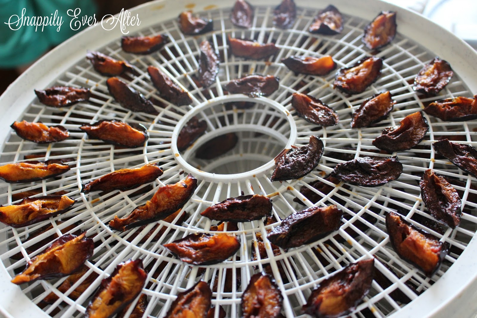 Snappily Ever After Drying Plums at Home