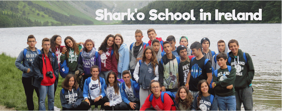 Shark'o School in Ireland