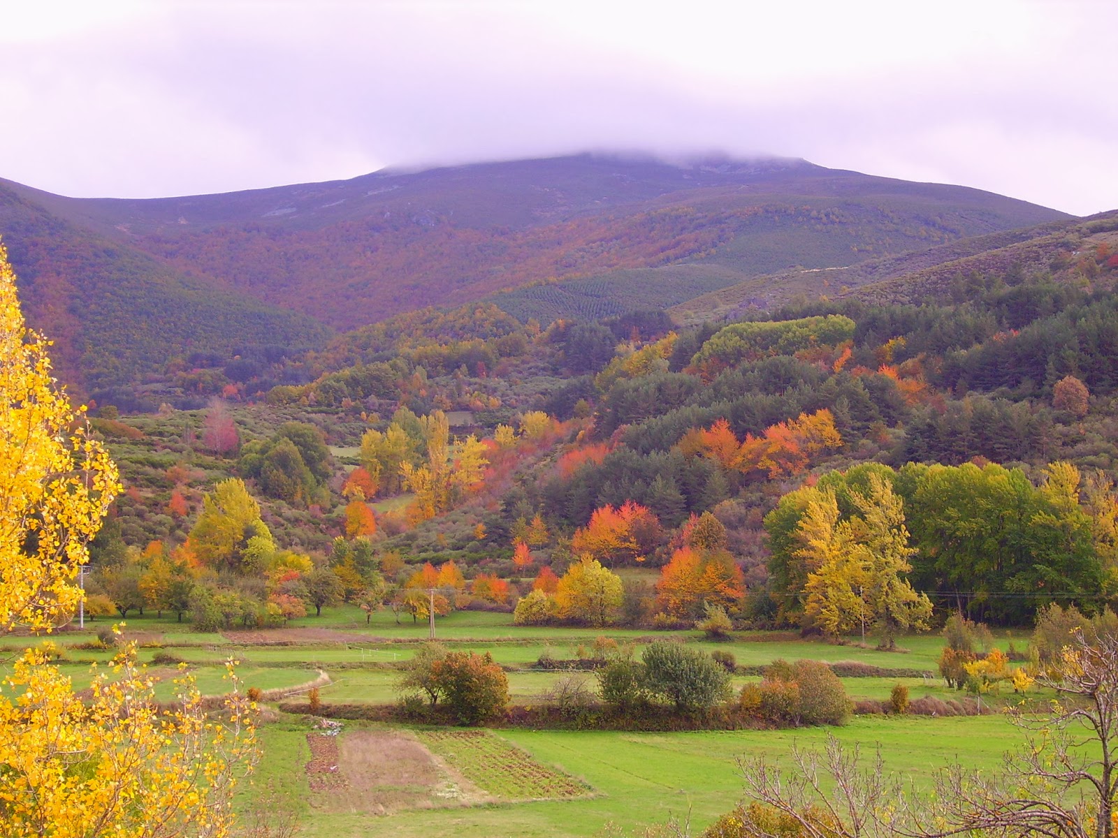 Retazos de Madera: octubre 2013