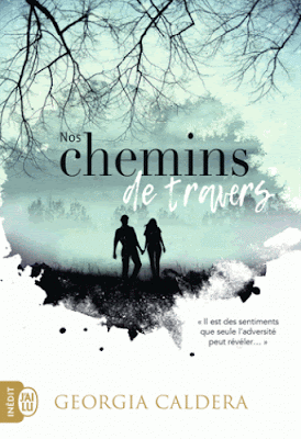 chemins travers Tome