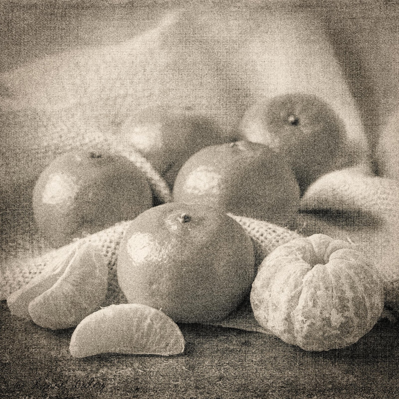 Cafe Lynnylu Clementine Ginger CakeBlack and White Wednesday 157