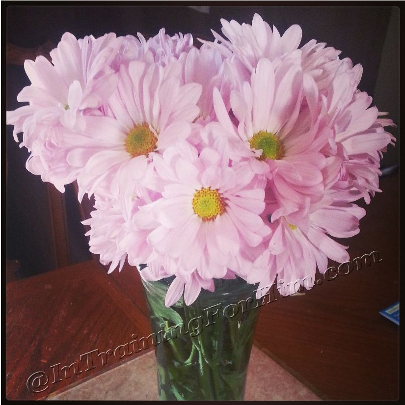 In Training For HIM Publix Flowers Last Forever!