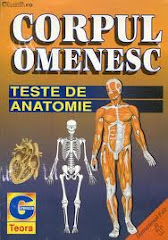 Teste  anatomie