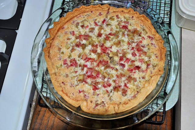 Easy, Creamy Rhubarb Custard Pie, Just Like Tall Guy's Mom Makes