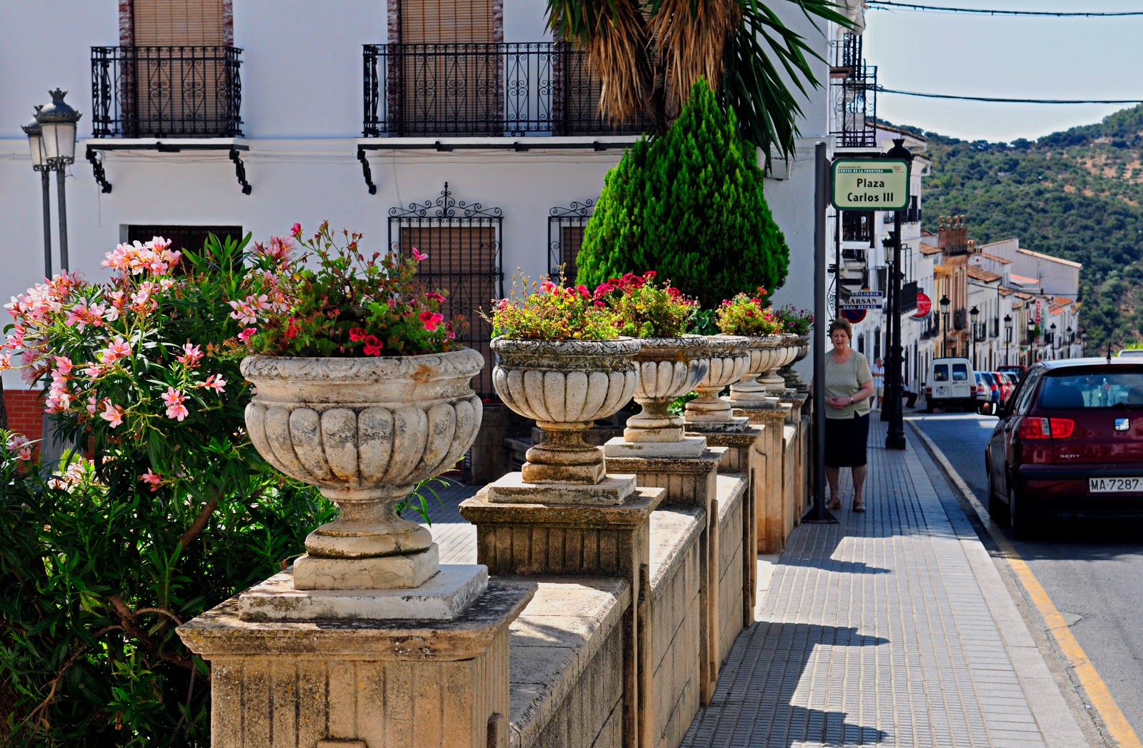 Andicozfotografía Cortes de la Frontera