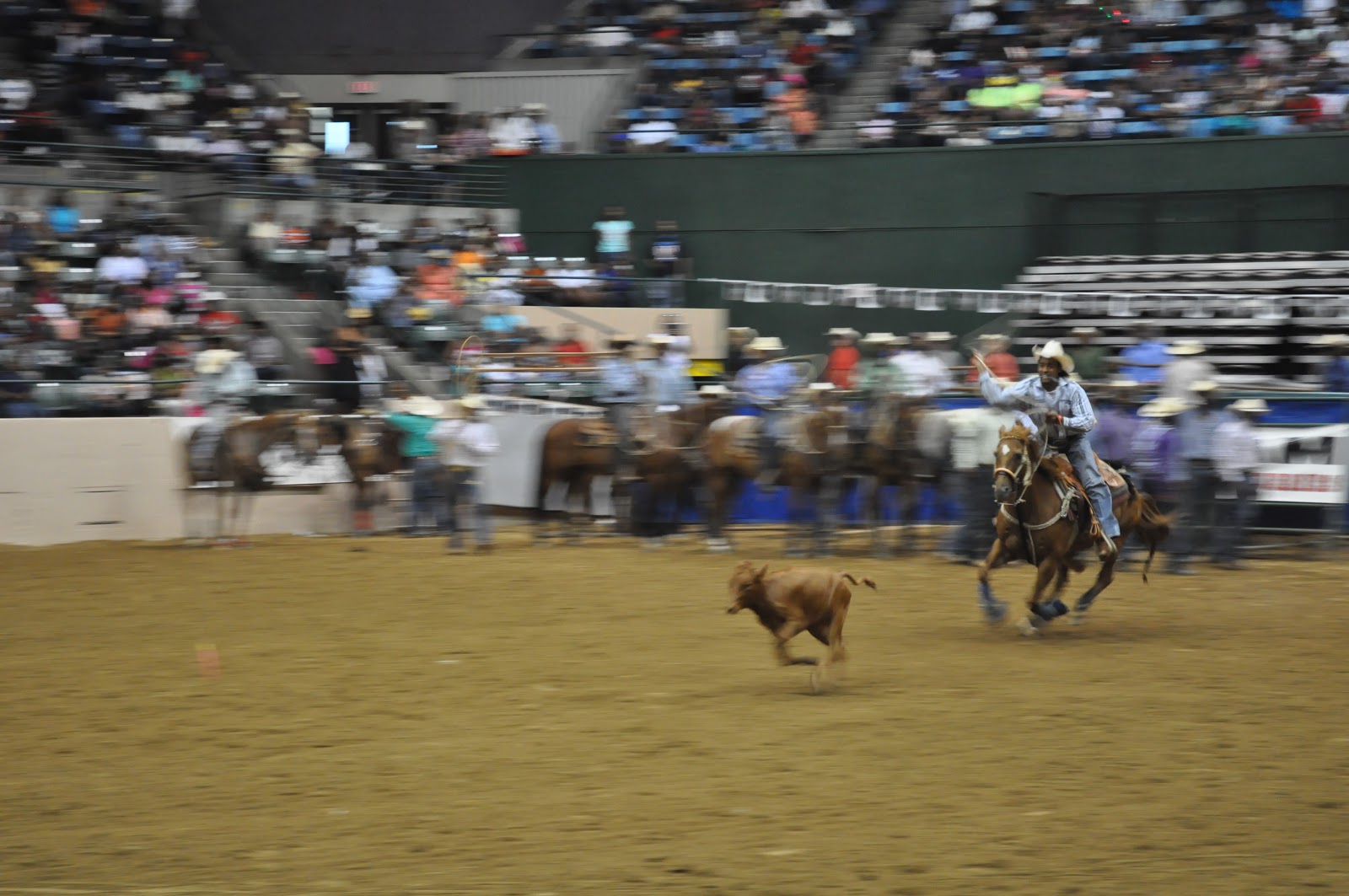 The Road Trip Years: This Ain't my First Rodeo (actually it was)