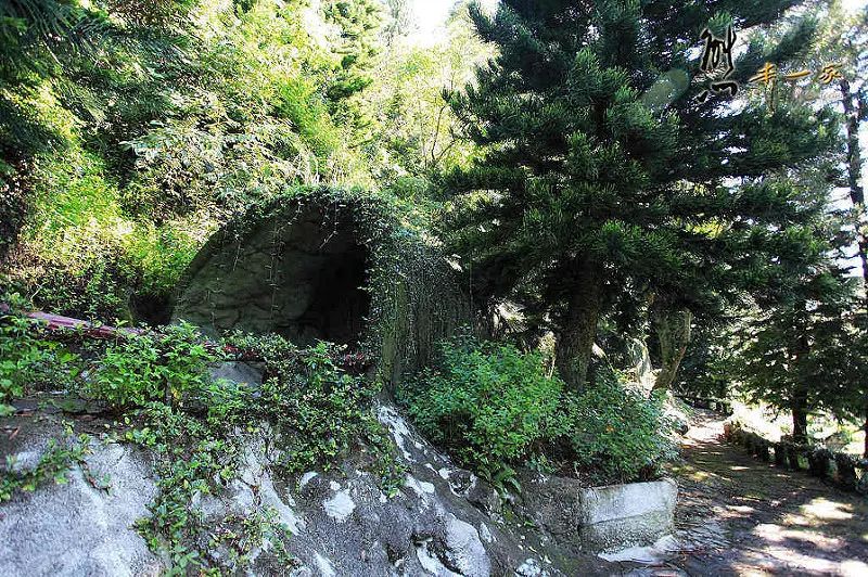 天空步道|莫那魯道巨人像|賽德克故事館|滴水觀音|泰雅渡假村|南投私房景點