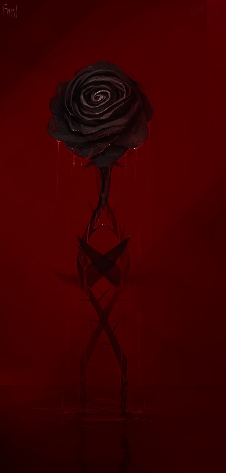 roza+2.jpg