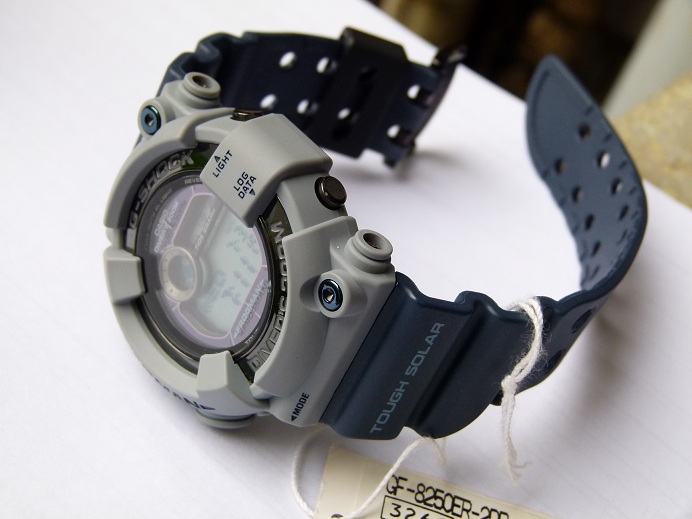 harga jam frogman