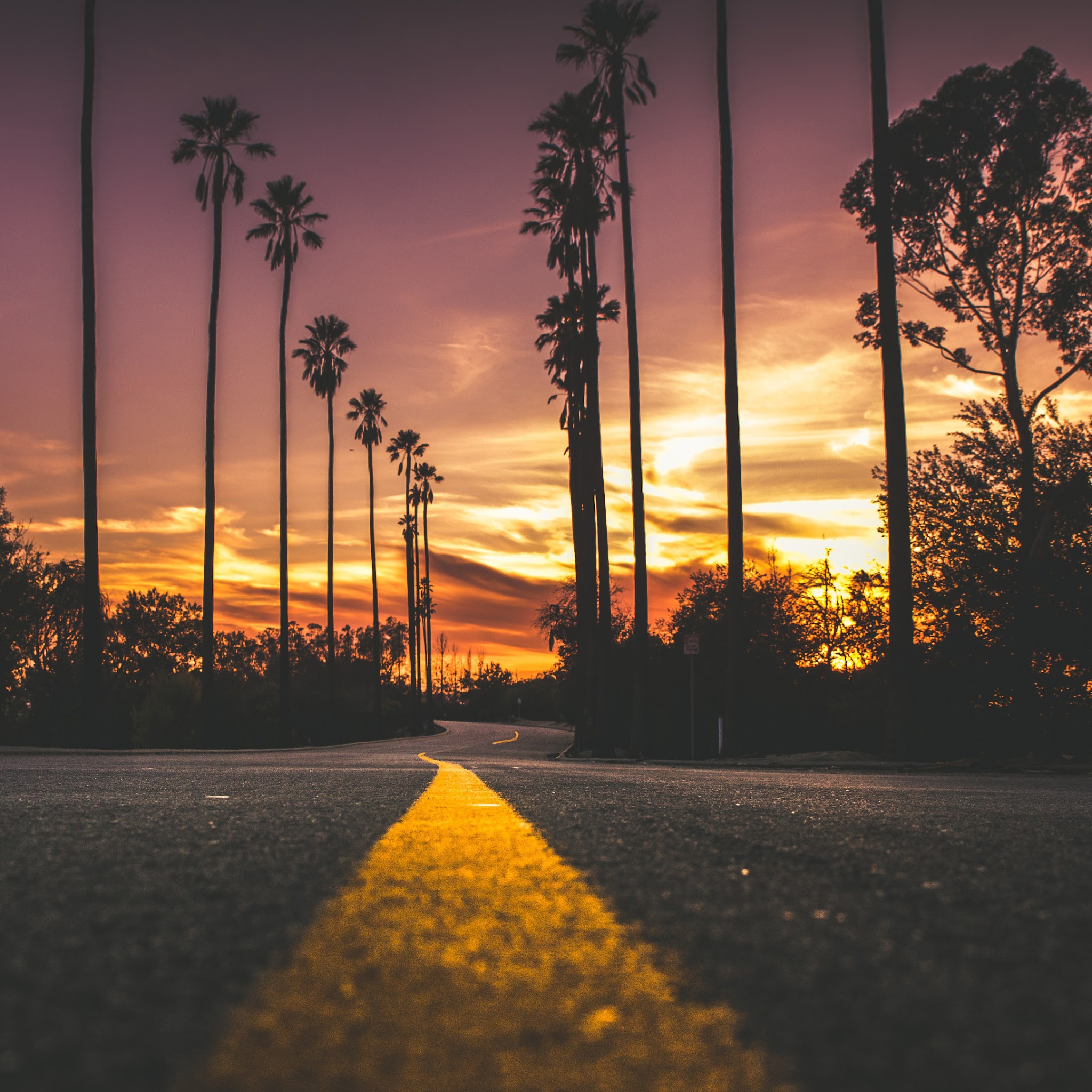 Sunset, Road, Landscape, Scenery, 4K, #170 Wallpaper Pc Desktop
