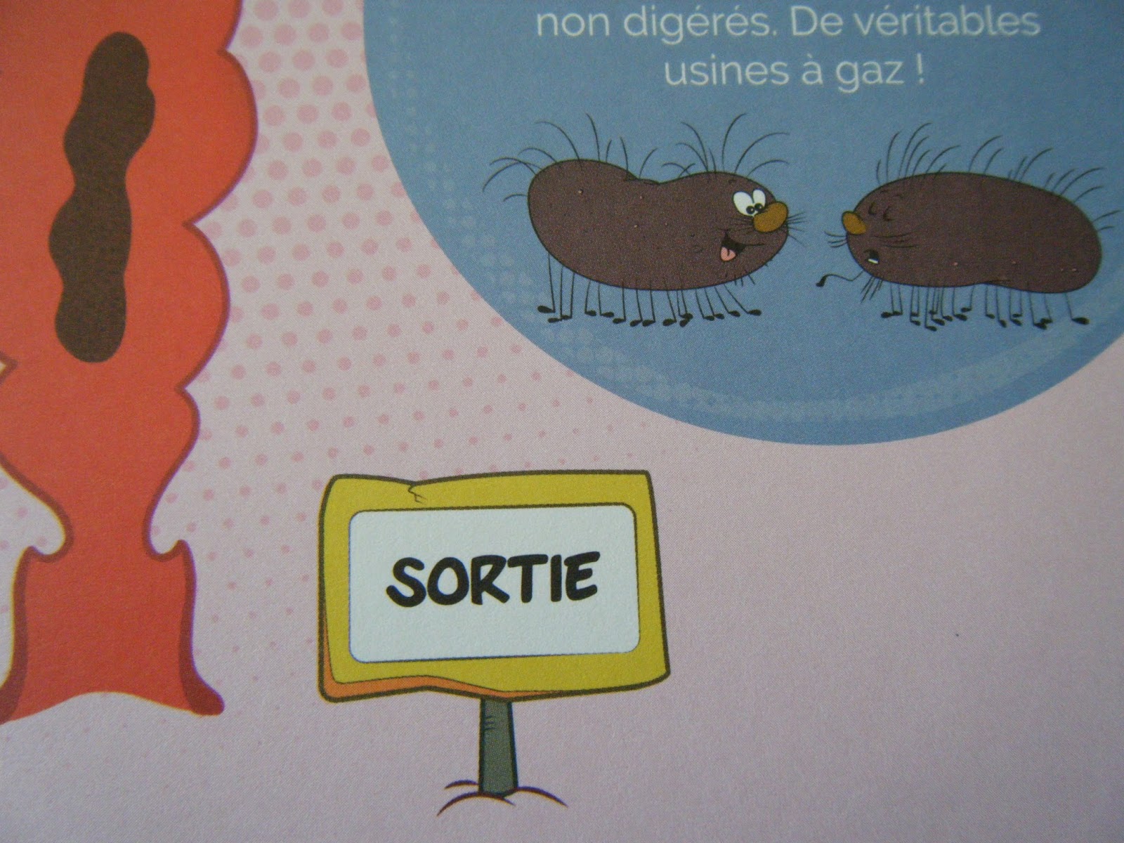 Il Etait Une Fois La Vie La Digestion Chagaz'. et vous?: Il était une fois... la vie : la digestion - Fleurus