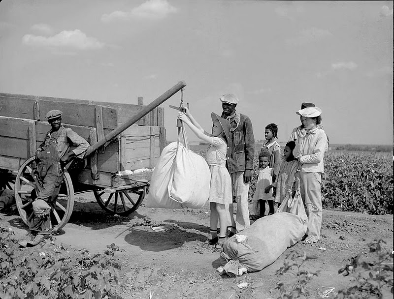 Cybernetics and Management