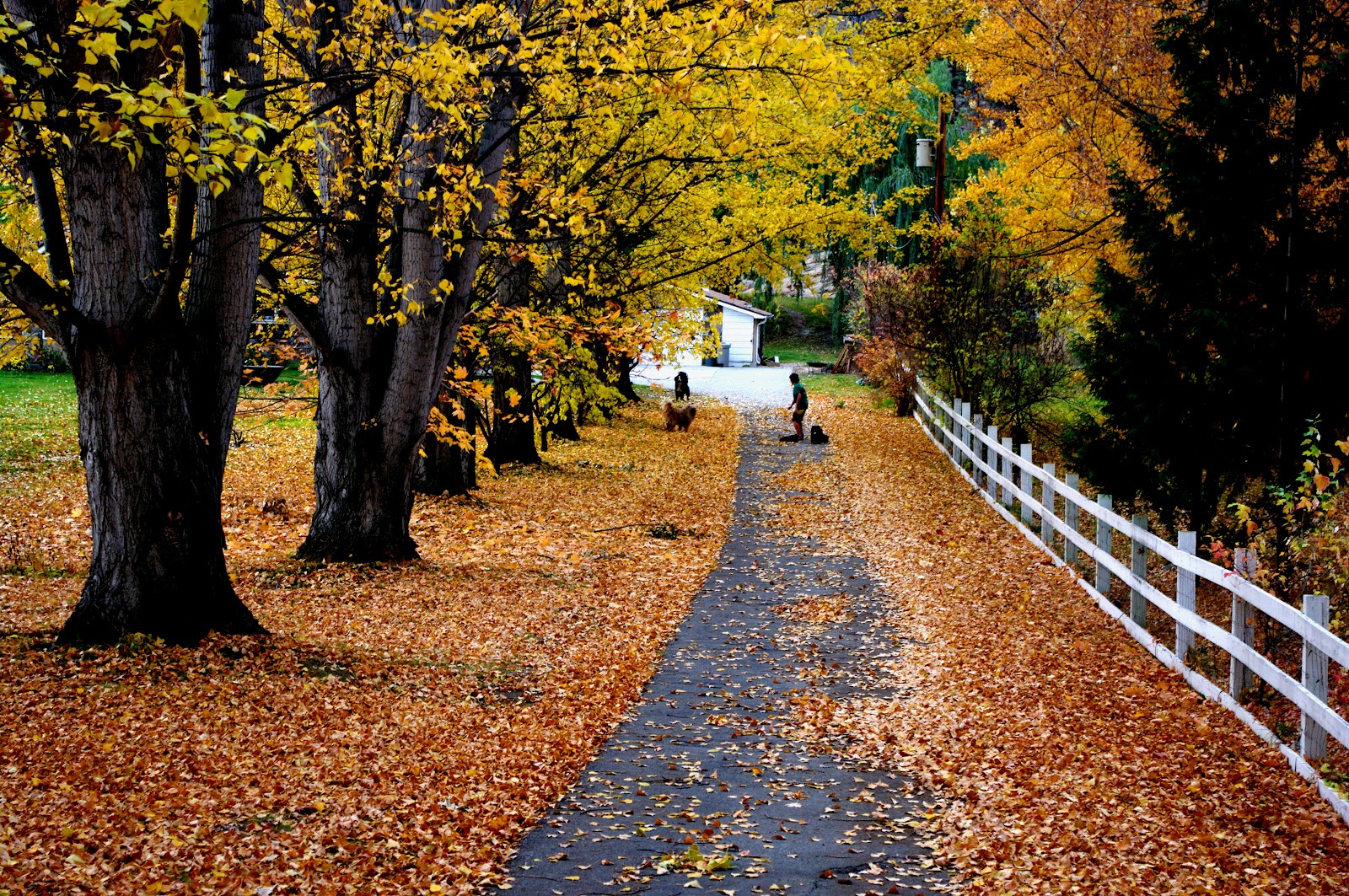 Terence Hill Photography Summerland BC Canada