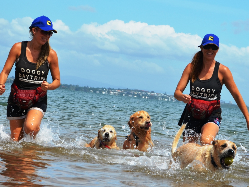 Top Dog Walks & Parks around Brisbane Australian Dog Lover