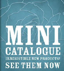 The Mini Catalogue 2011